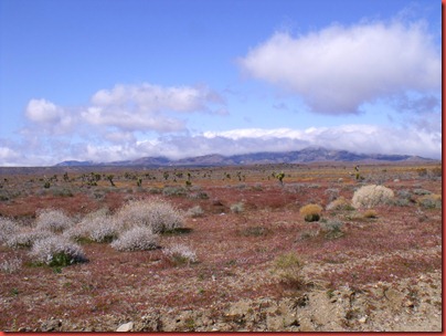 pics 013
