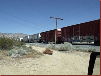 pics 010