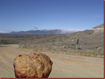 pics 004
