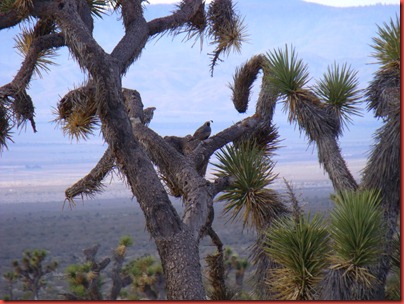 pics 009