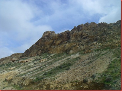 pics 019
