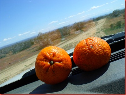 pics 015