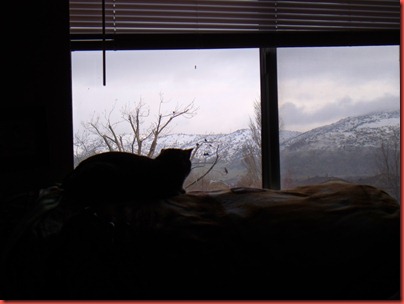 pics 032