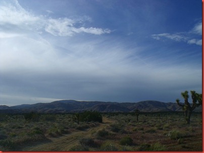 pics 017