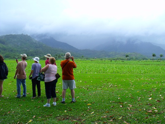 [kauai-0134.jpg]