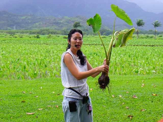 [kauai-0214.jpg]