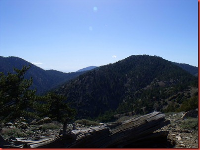 pics 007