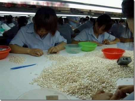 pearl_harvesting9
