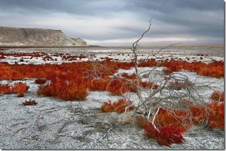Aral_Sea4