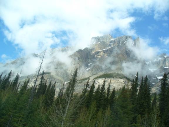 [clip_image0343.jpg]