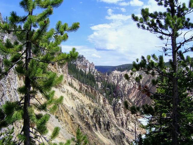 [100_01655.jpg]