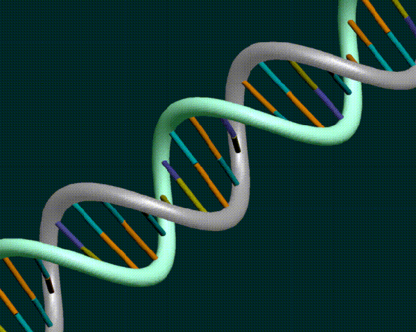 [dna_rgb3.gif]