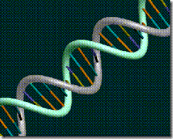 dna_rgb