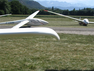 IMG_1727.jpg