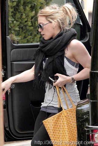 [HilaryDuff_NiceFun_14_937_001.jpg]