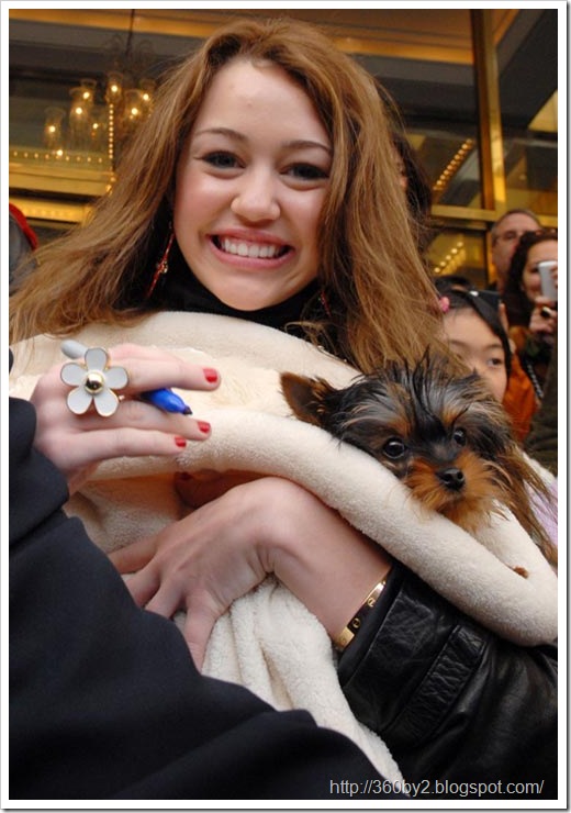 _Miley Cyrus Cute Pictures_miley_cyrus_puppy