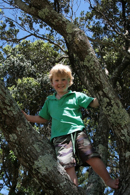 [November 266[3].jpg]