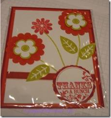 petalpizzazldrshpswap09_983