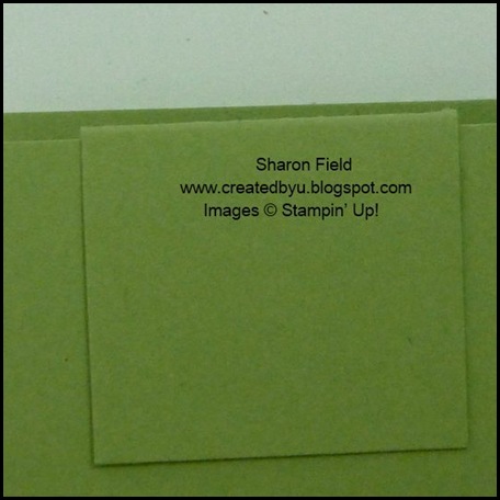 double pop up slider, stampin up, shop online, sharon field, createdbyu, tutorial, blog