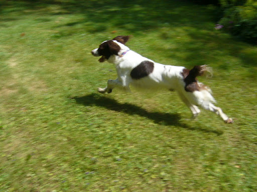 http://lh3.ggpht.com/_g9U_JVq0IZ8/TDjIoIx6d6I/AAAAAAAAAaU/jAO36PkftXQ/P1030814.JPG