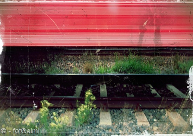 [15 sept 2009 in miscare[15].jpg]