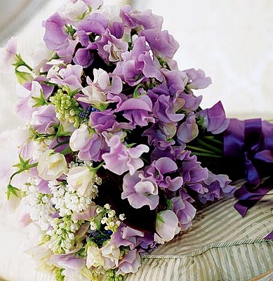 [purple summer flowers[3].jpg]