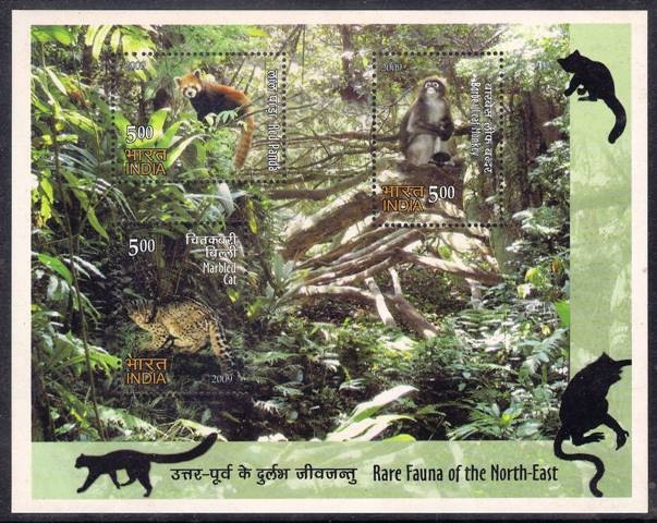 [Rare Fauna[9].jpg]
