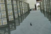 [clip_image002[11][5].jpg]