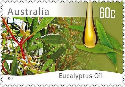 [australia[3].jpg]