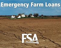 Farmers In Multiple Southeast Iowa Counties Are Eligible For USDA Loans.<br />
(usda.gov)