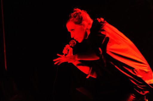 (c) Chrystèle Lacène - http://www.arbobo.fr