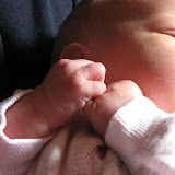 Announcing...Katherine Luther Young!