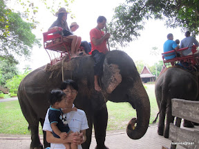 พู่กันเที่ยวสวนสามพราน
