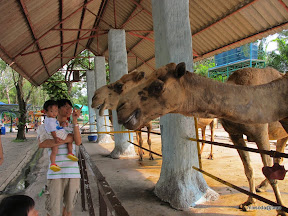 พู่กันเที่ยวศรีราชา