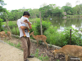 พู่กันเที่ยวบางแสนวันที่ 3 สวนสัตว์เปิดเขาเขียว