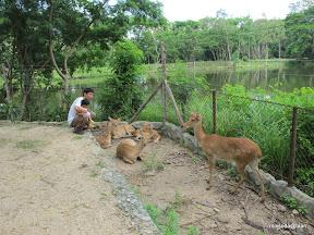 พู่กันเที่ยวบางแสนวันที่ 3 สวนสัตว์เปิดเขาเขียว