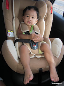 พู่กันป่วย