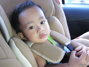พู่กันป่วย