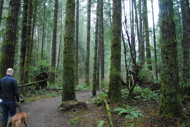 [DSC_0418[3].jpg]