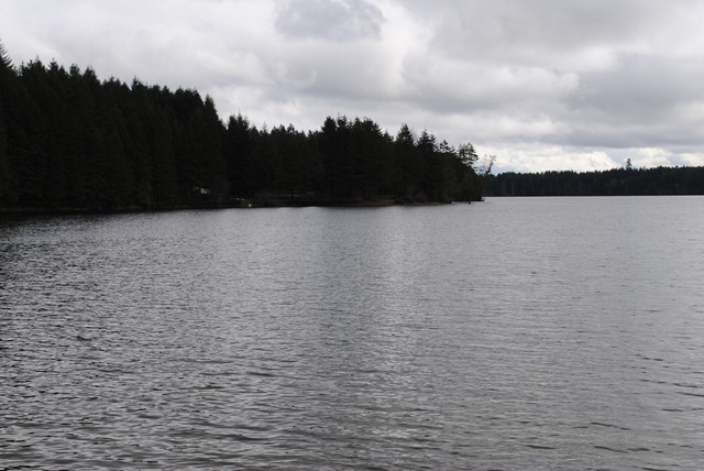 [DSC_0854[3].jpg]