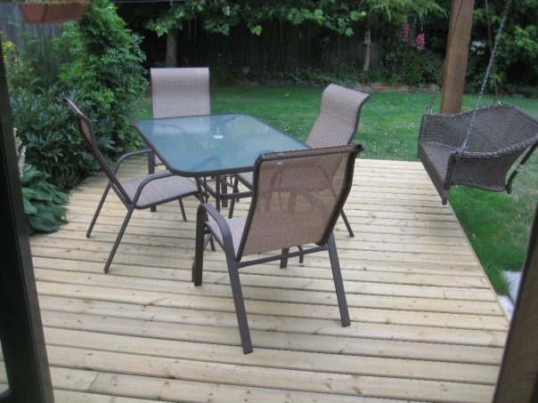 [backyard2[3].jpg]