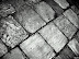 DSC04661.JPG