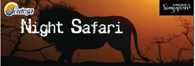 nite safari