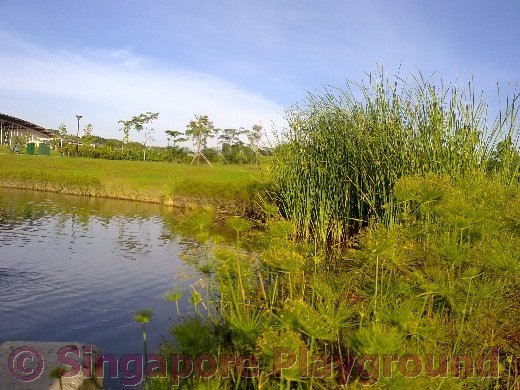 [01052010300[4].jpg]