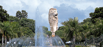 [image50.png]