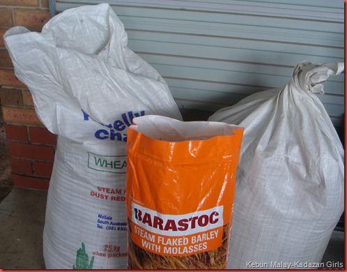 horse manure (3) horse manure (3)