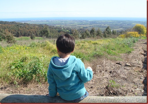 DSC08524_thumb[11].jpg