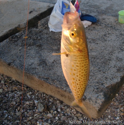 [DSC09423[8].jpg]