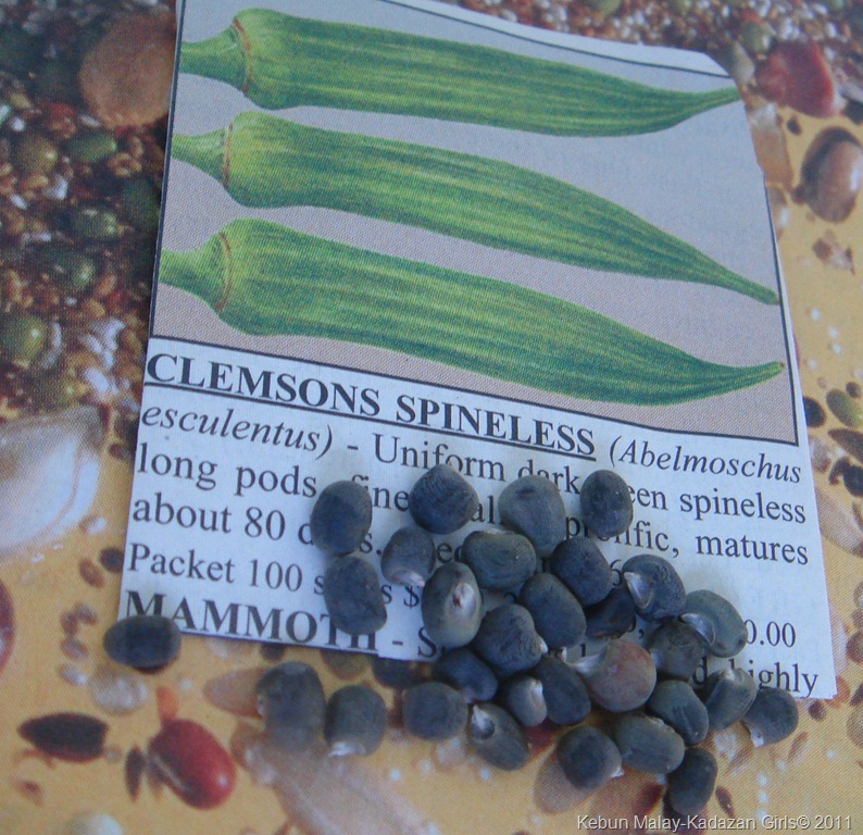 [okra-clemcon-spineless12.jpg]