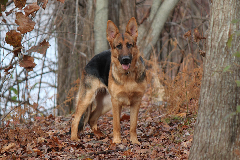 IMAGE: http://lh3.ggpht.com/_gKetm36gwX0/TNtYGKmj-pI/AAAAAAAAALc/huW_WrWZFK0/s800/IMG_1007.JPG